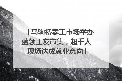 马驹桥零工市场举办蓝领工友市集，超千人现场达成就业意向
