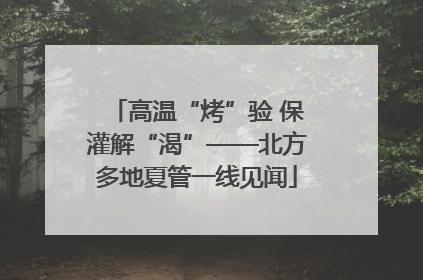 高温“烤”验 保灌解“渴”——北方多地夏管一线见闻