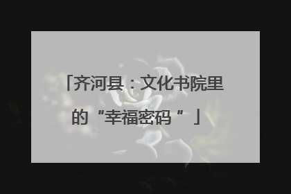 齐河县：文化书院里的“幸福密码 ”