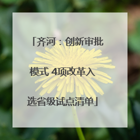 齐河：创新审批模式 4项改革入选省级试点清单