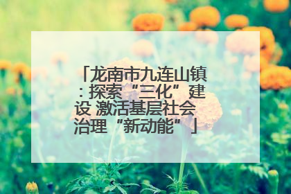 龙南市九连山镇：探索“三化”建设 激活基层社会治理“新动能”