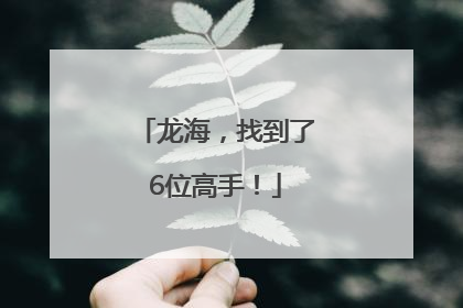 龙海，找到了6位高手！