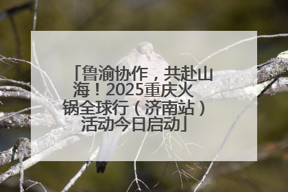 鲁渝协作，共赴山海！2025重庆火锅全球行（济南站）活动今日启动