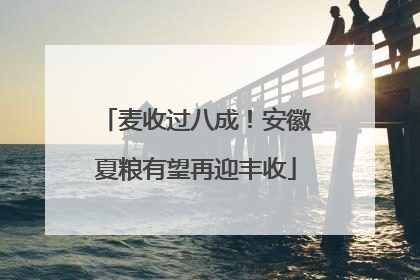 麦收过八成！安徽夏粮有望再迎丰收