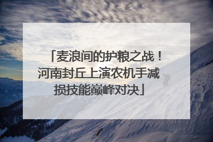 麦浪间的护粮之战！河南封丘上演农机手减损技能巅峰对决