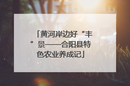 黄河岸边好“丰”景——合阳县特色农业养成记