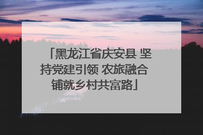 黑龙江省庆安县 坚持党建引领 农旅融合铺就乡村共富路