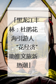 黑龙江丰林：杜鹃花海引游人 “花经济”助推文旅新热潮