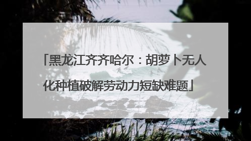 黑龙江齐齐哈尔：胡萝卜无人化种植破解劳动力短缺难题