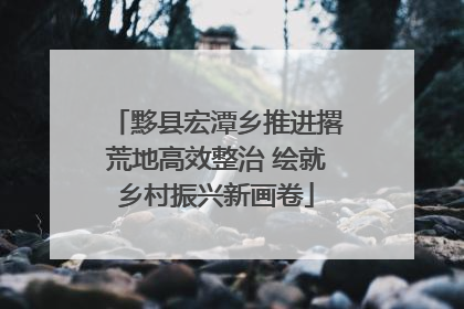 黟县宏潭乡推进撂荒地高效整治 绘就乡村振兴新画卷