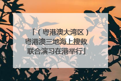 （粤港澳大湾区）粤港澳三地海上搜救联合演习在港举行