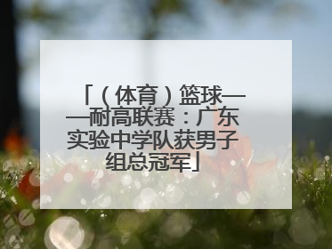 （体育）篮球——耐高联赛：广东实验中学队获男子组总冠军