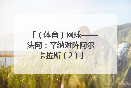 （体育）网球——法网：辛纳对阵阿尔卡拉斯（2）