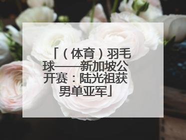（体育）羽毛球——新加坡公开赛：陆光祖获男单亚军