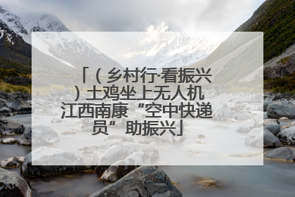 （乡村行·看振兴）土鸡坐上无人机 江西南康“空中快递员”助振兴