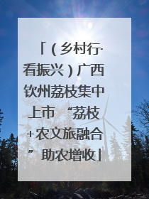 （乡村行·看振兴）广西钦州荔枝集中上市 “荔枝+农文旅融合”助农增收