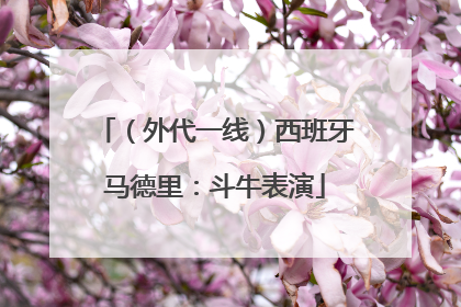 （外代一线）西班牙马德里：斗牛表演