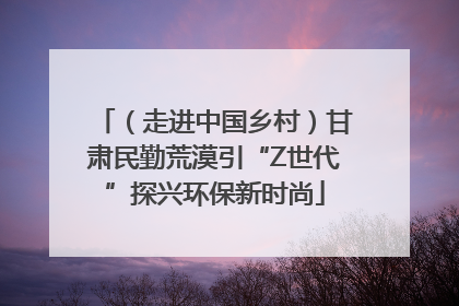 （走进中国乡村）甘肃民勤荒漠引“Z世代”探兴环保新时尚