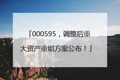 000595，调整后重大资产重组方案公布！