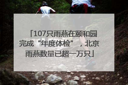 107只雨燕在颐和园完成“年度体检”，北京雨燕数量已超一万只