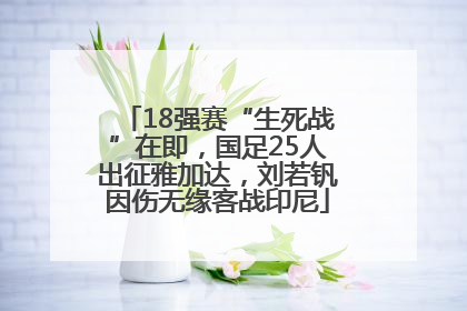 18强赛“生死战”在即，国足25人出征雅加达，刘若钒因伤无缘客战印尼