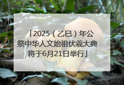 2025（乙巳）年公祭中华人文始祖伏羲大典将于6月21日举行