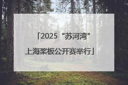 2025“苏河湾”上海桨板公开赛举行