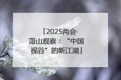 2025两会·萧山观察：“中国视谷”的新江湖