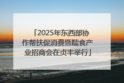 2025年东西部协作帮扶促消费暨糯食产业招商会在贞丰举行