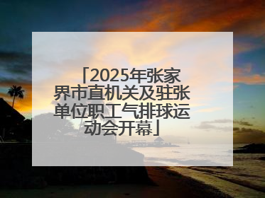 2025年张家界市直机关及驻张单位职工气排球运动会开幕