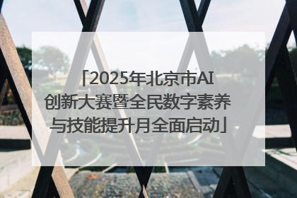 2025年北京市AI创新大赛暨全民数字素养与技能提升月全面启动