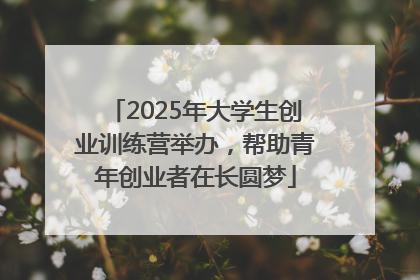 2025年大学生创业训练营举办，帮助青年创业者在长圆梦