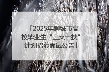 2025年聊城市高校毕业生“三支一扶”计划招募面试公告