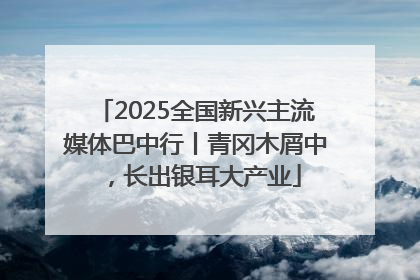 2025全国新兴主流媒体巴中行丨青冈木屑中，长出银耳大产业