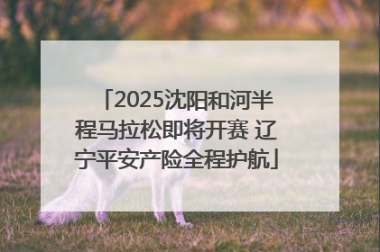 2025沈阳和河半程马拉松即将开赛 辽宁平安产险全程护航
