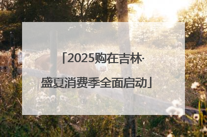 2025购在吉林·盛夏消费季全面启动