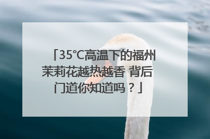35℃高温下的福州茉莉花越热越香 背后门道你知道吗？