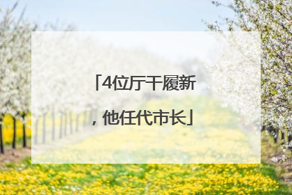 4位厅干履新，他任代市长