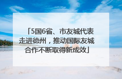 5国6省、市友城代表走进德州，推动国际友城合作不断取得新成效