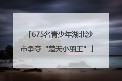 675名青少年湖北沙市争夺“楚天小羽王”