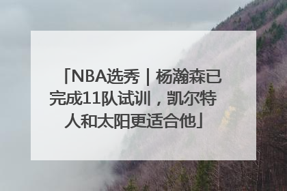NBA选秀｜杨瀚森已完成11队试训，凯尔特人和太阳更适合他