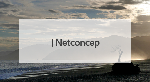 Netconcepts耐特康赛斩获第十六届虎啸奖“年度综合服务商”大奖