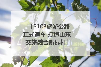 S103旅游公路正式通车 打造山东交旅融合新标杆